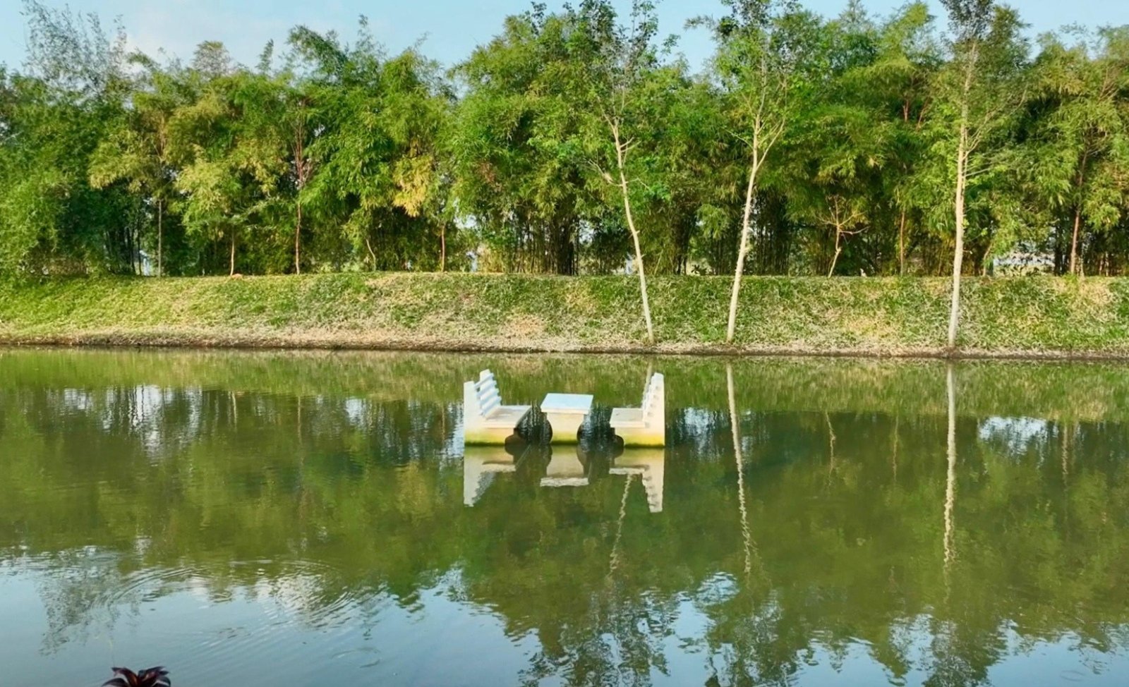 Picnic by the Pond