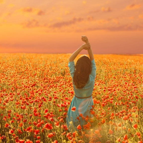 Rose Picking - Srishti - The Farm