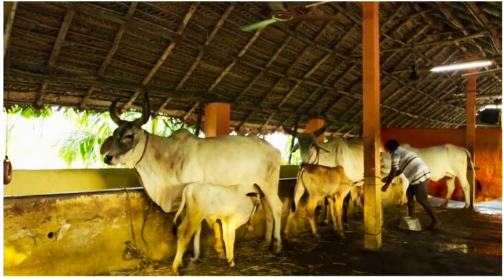 Copy of Untitled design (10)