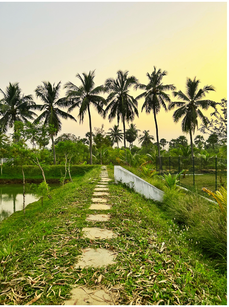 Copy of Untitled design - 2025-02-14T021748