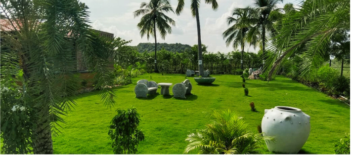 Copy of Untitled design - 2025-02-14T022135