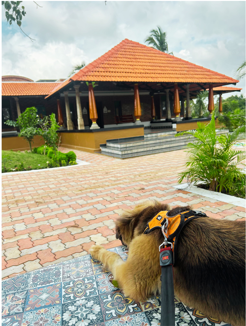 Copy of Untitled design - 2025-02-14T022537