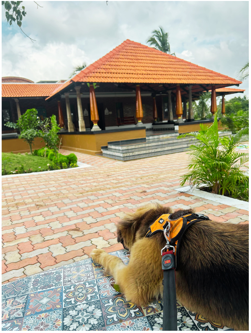 Copy of Untitled design - 2025-02-14T022537