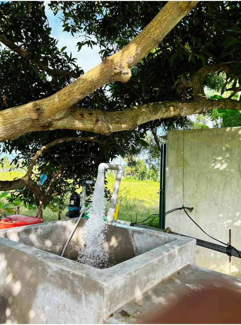 Copy of Untitled design (32)