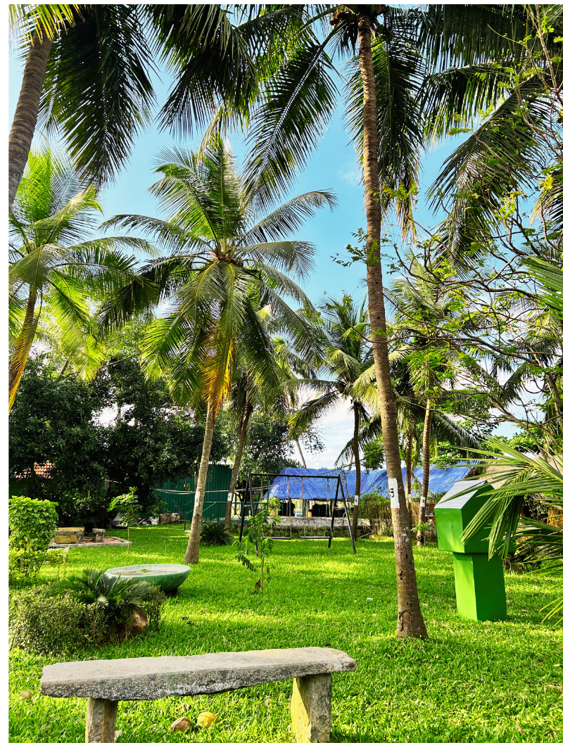 Copy of Untitled design (34)