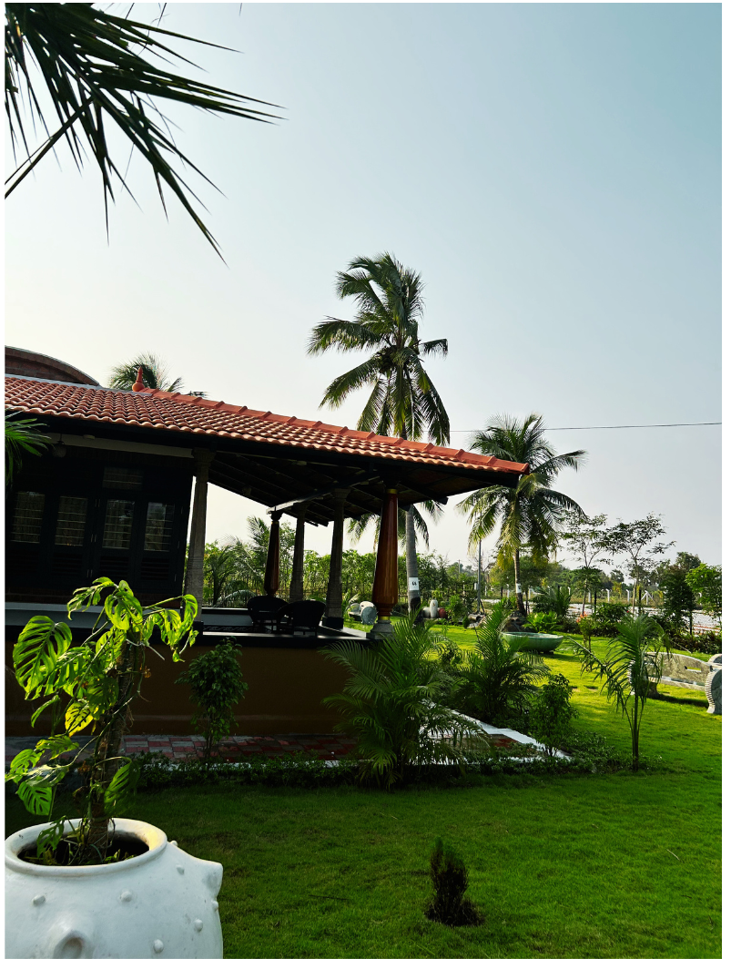 Copy of Untitled design (84)