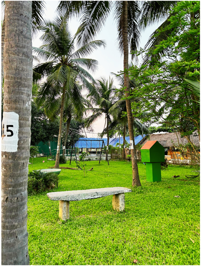 Copy of Untitled design (91)