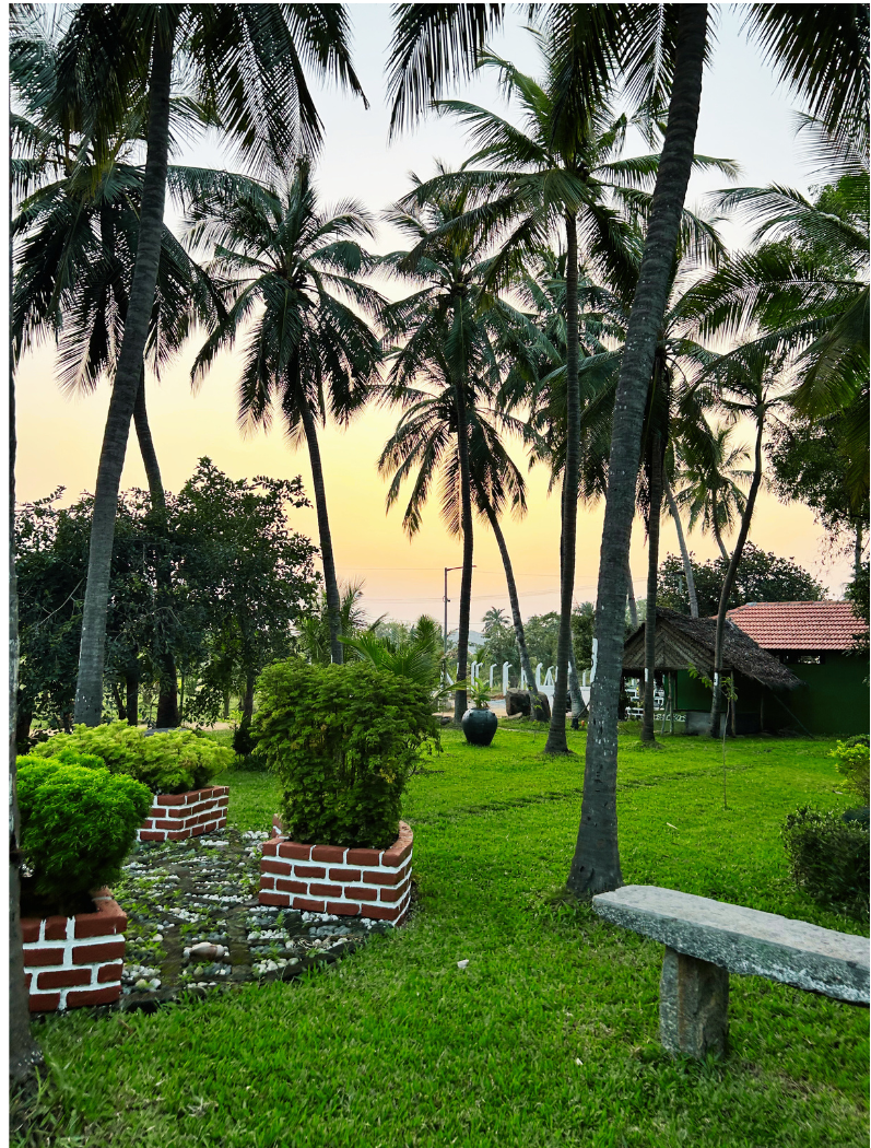 Copy of Untitled design (93)