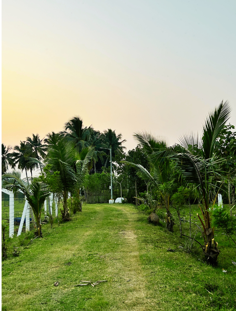 Copy of Untitled design (94)