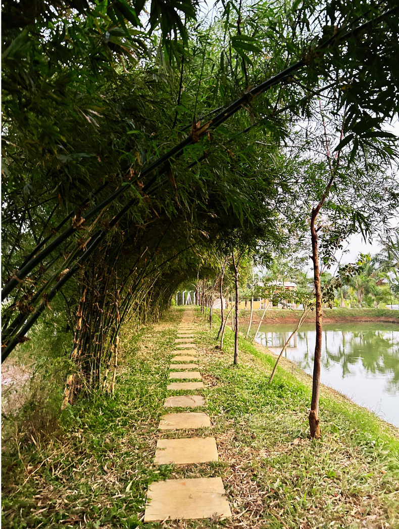 Copy of Untitled design (98)